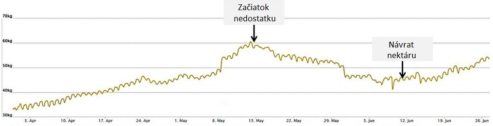 Letný nedostatok nektáru.