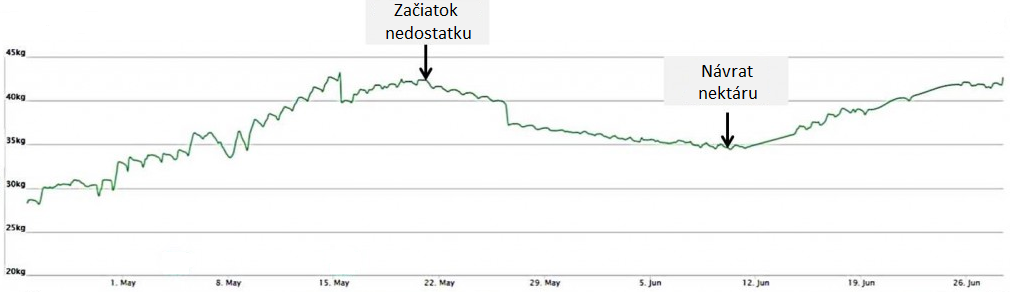 Letný nedostatok nektáru.