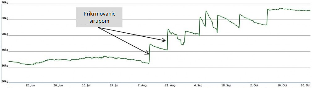 Hmotnosť úla po augustovom prikrmovaní.